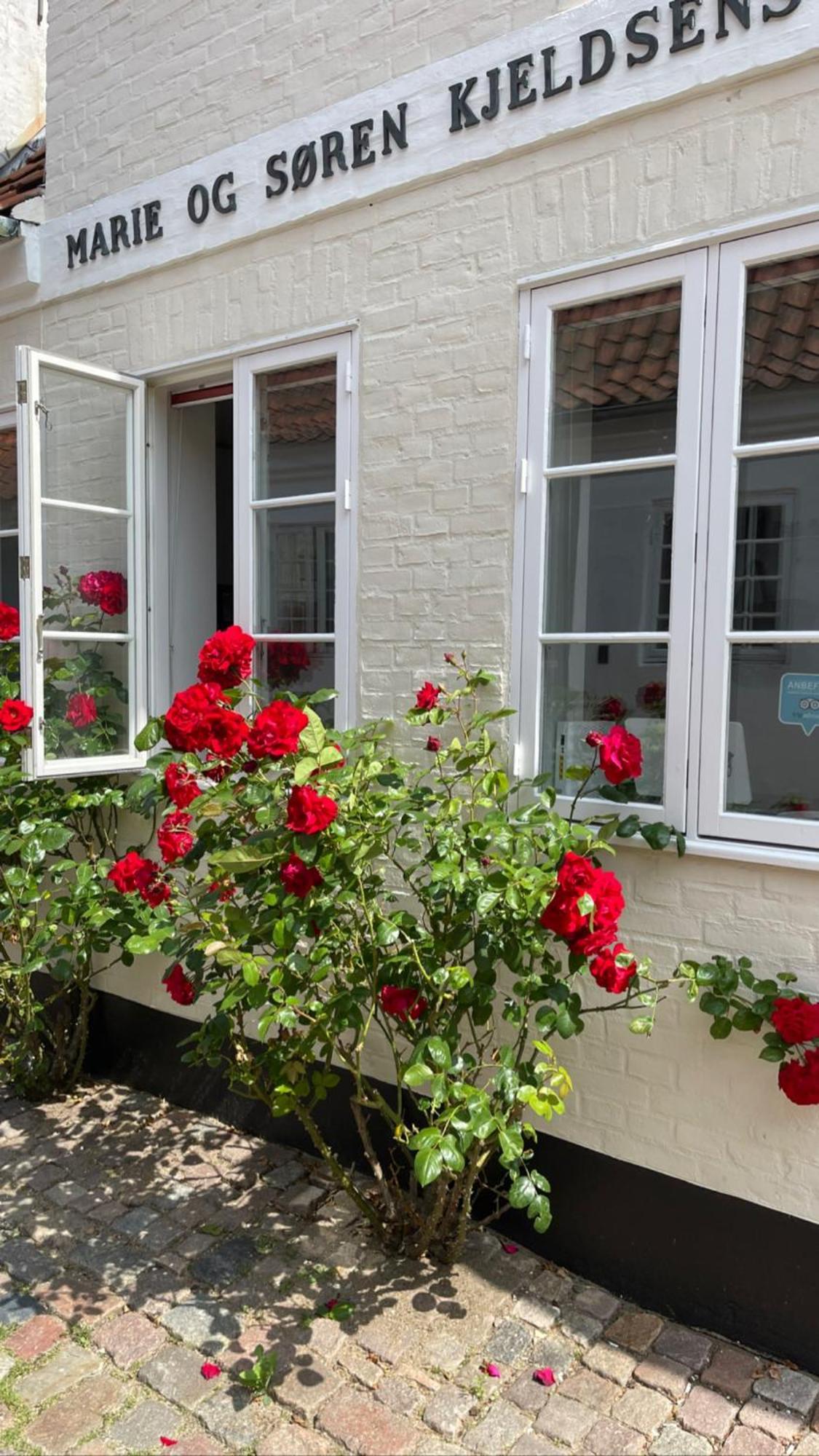Restaurant Saelhunden Bed and Breakfast Ribe Eksteriør billede